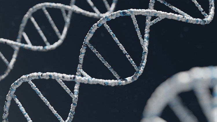 Featured image for [알고리즘] 12891. DNA 비밀번호