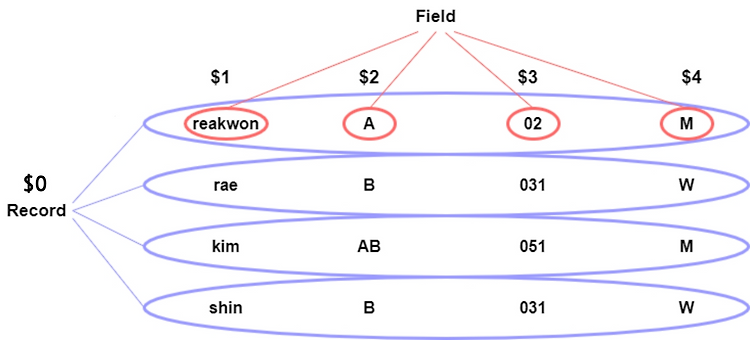 Featured image for 2022-05-09 awk_정리