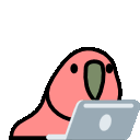 Featured image for [C++] fill, memset, memcpy