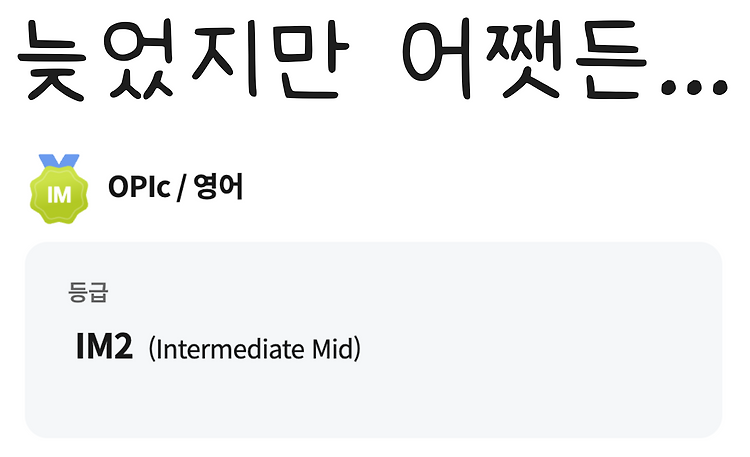 Featured image for [기타] OPic IM2