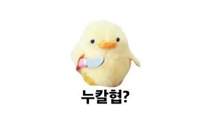 Featured image for SW종합설계 시작
