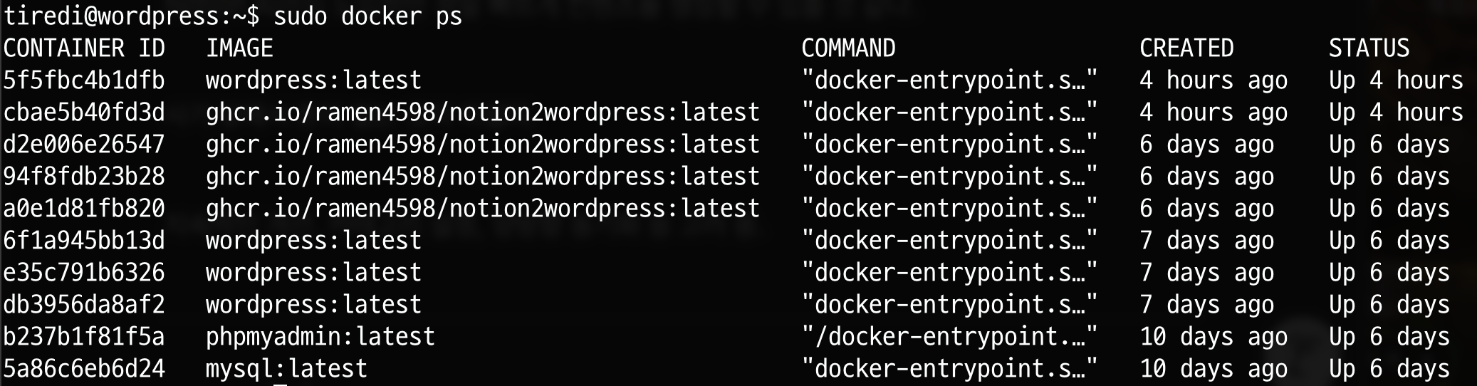 실행 중인 docker 컨테이너 캡처