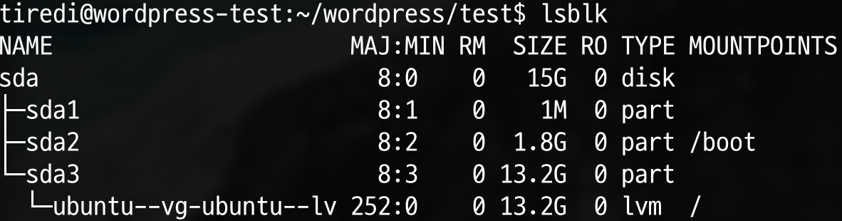 LVM 확장